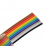 1 Metro De Cable Plano Color 10 Conductores Flat Awg28 1.27mm Tipo Dupont Itytarg