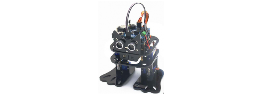 Kits Robot Camina