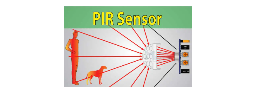 Sensor Pir Detector